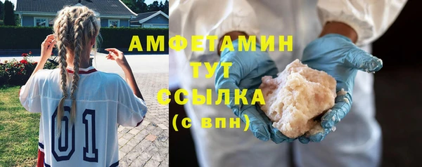 тгк Каменка