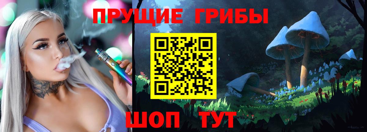 Каменка  Галлюциногенные грибы MAGIC MUSHROOMS  Вход с VPN 